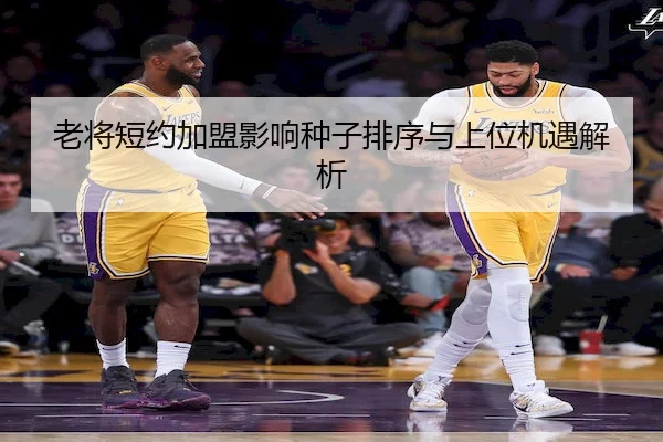 老将短约加盟影响种子排序与上位机遇解析